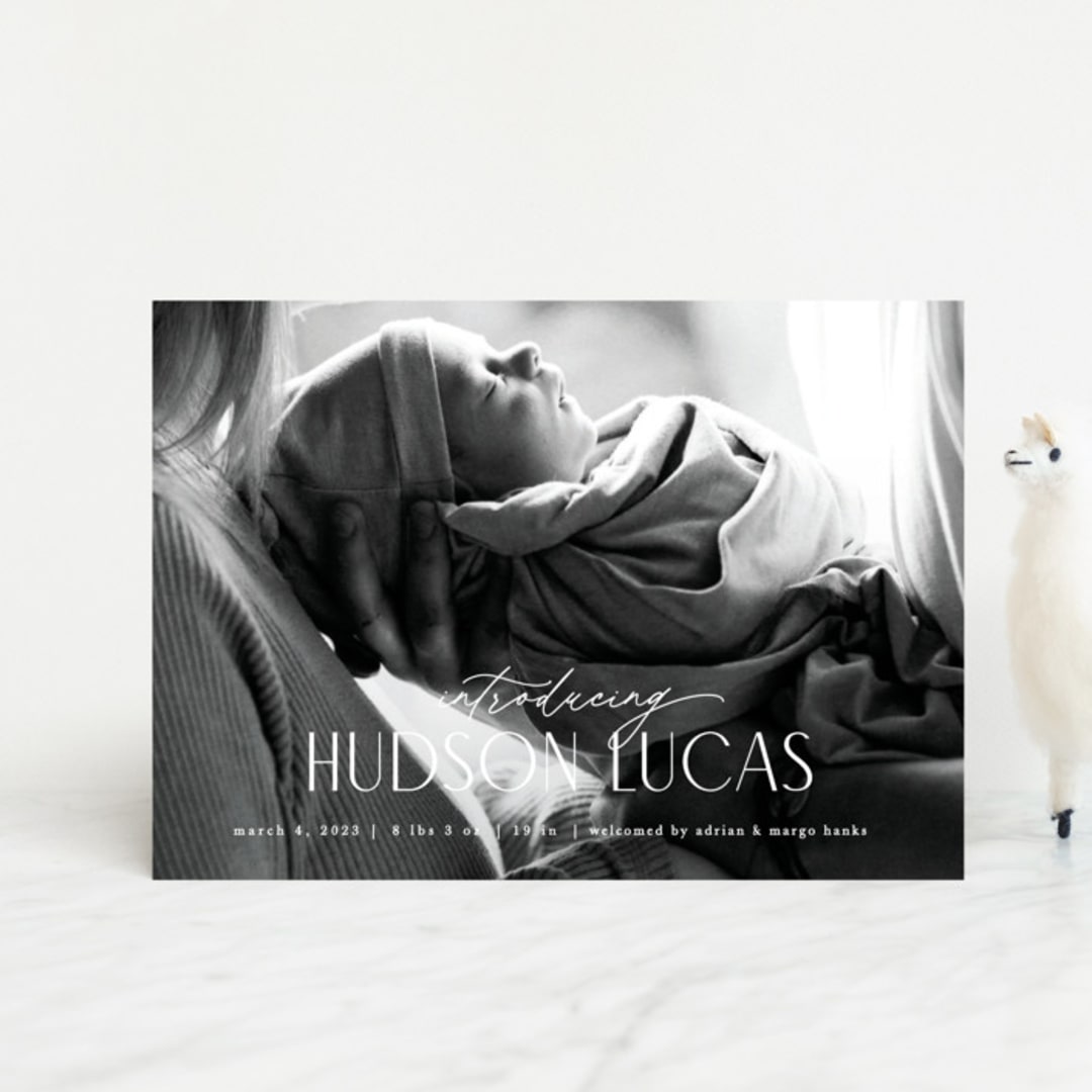 "Little Introduction" - Birth Announcements in Sugar by Pixel and Hank - Front