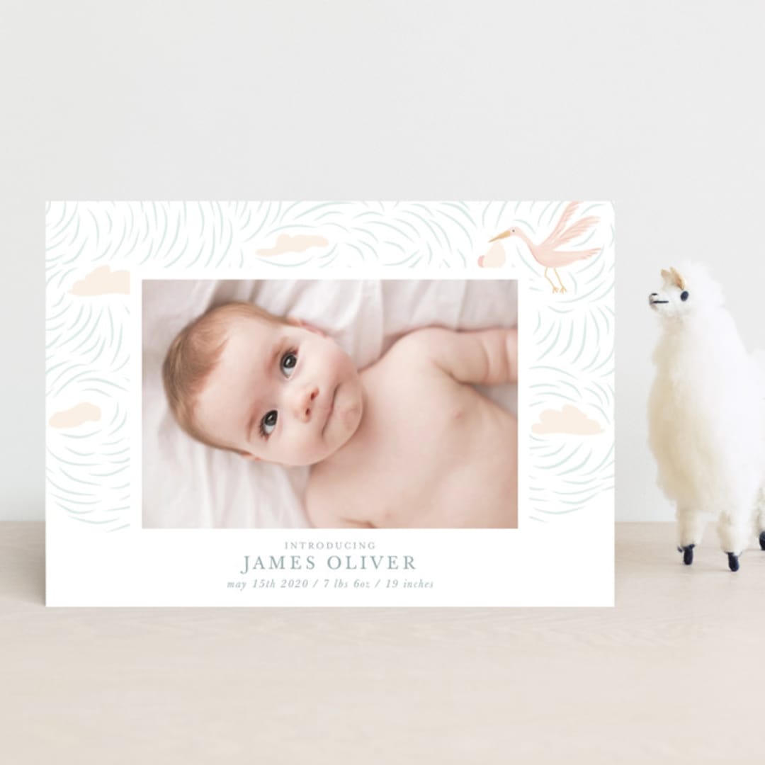 "Stork Delivery" - Birth Announcements in Blush by Hallie Fischer - Front