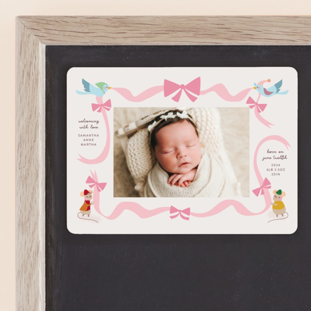 "disney cinderella birth announcement" - Birth Announcements in Blush by Lori Wemple - Front