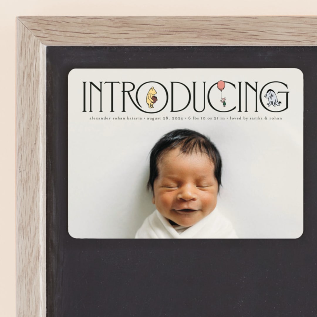 "Silly Old Bear" - Birth Announcements in Ink by Heather Schertzer - Front