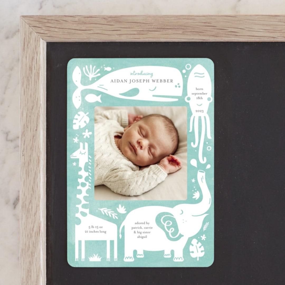 "All God's Creatures" - Birth Announcements in Narwhal by Carrie ONeal - Front