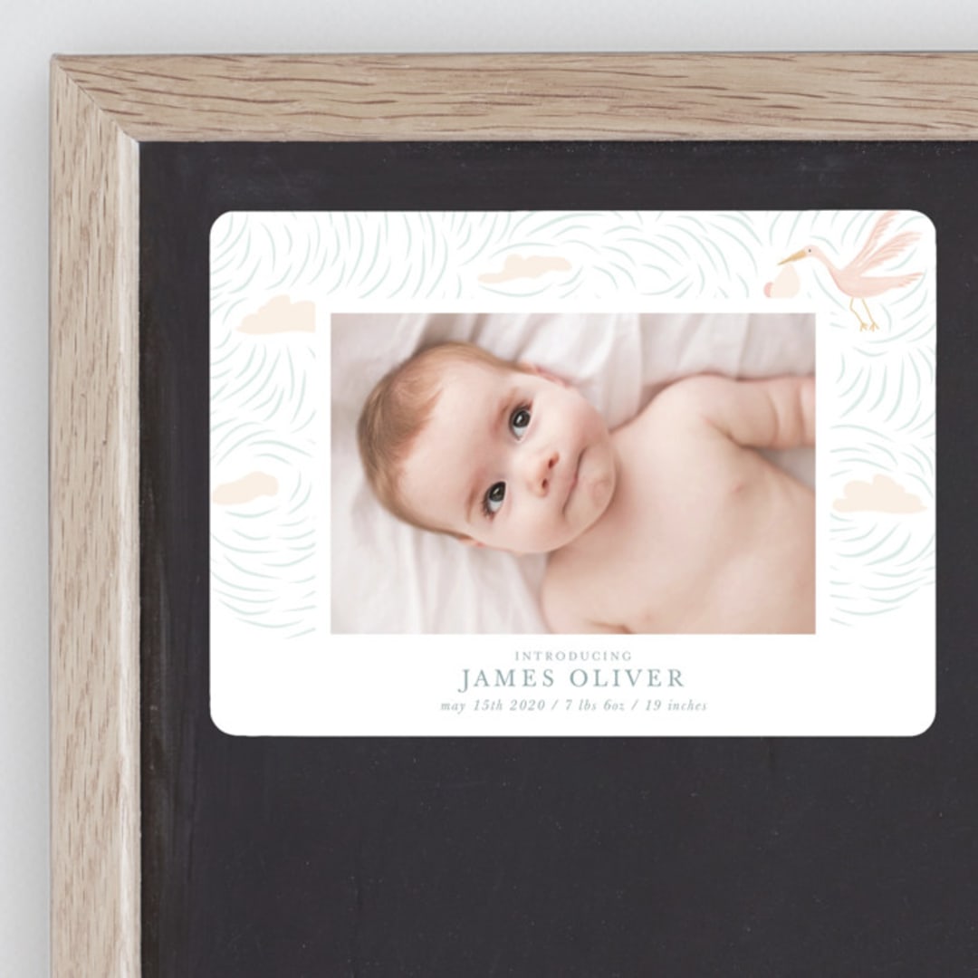 "Stork Delivery" - Birth Announcements in Blush by Hallie Fischer - Front