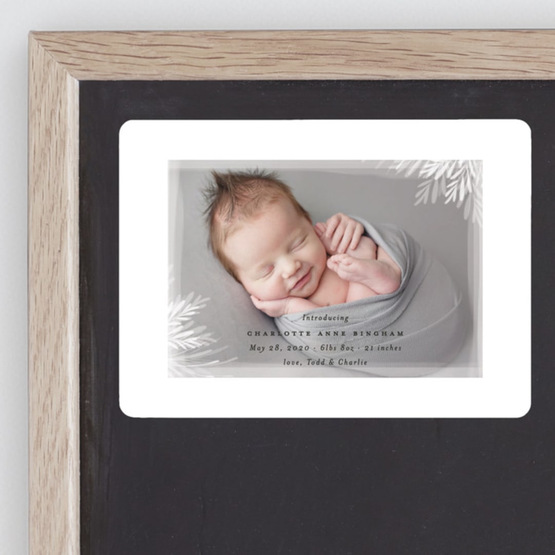 "whispering botanicals" - Birth Announcements in Cotton by Faith Dorn - Front
