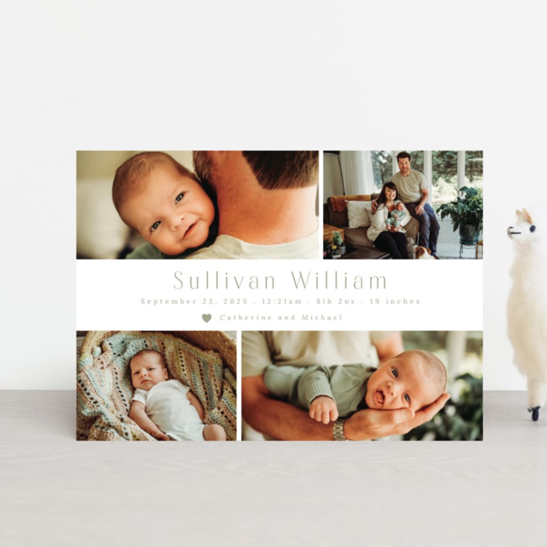 "Welcome Home" - Birth Announcements in Sage by Hudson meet Rose - Front