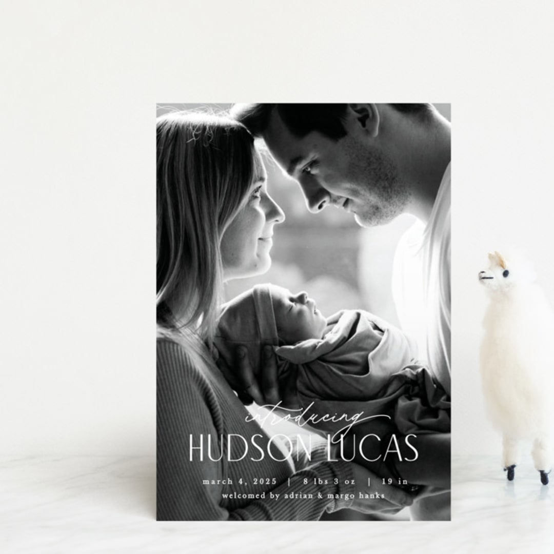 "Little Introduction" - Birth Announcements in Stone by Pixel and Hank - Front