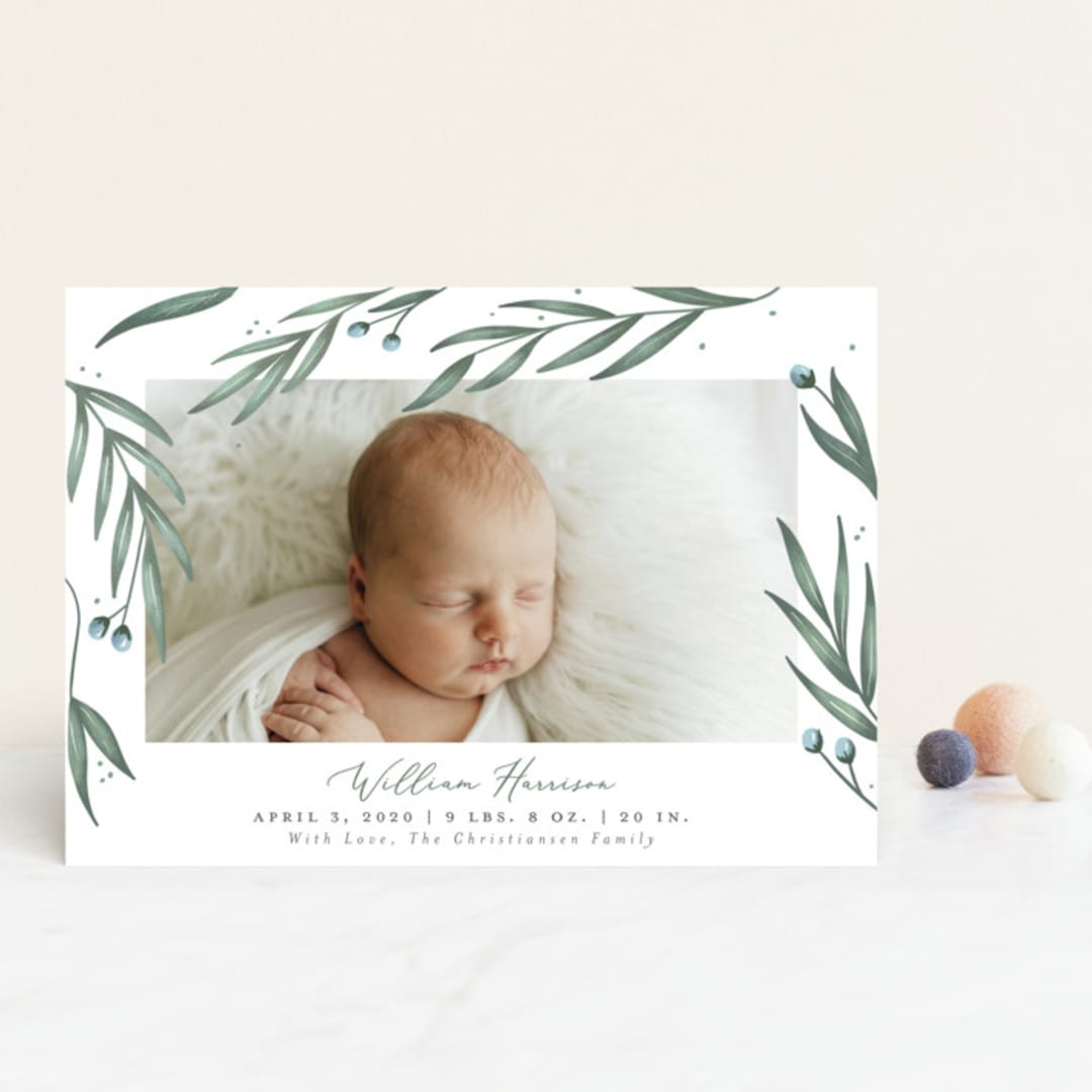 "Olive Branches" - Birth Announcements in Sage by Joanna Griffin - Front