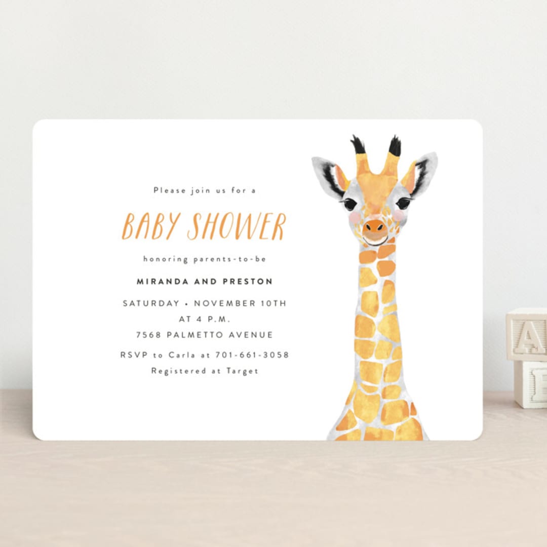 Baby Animal Giraffe