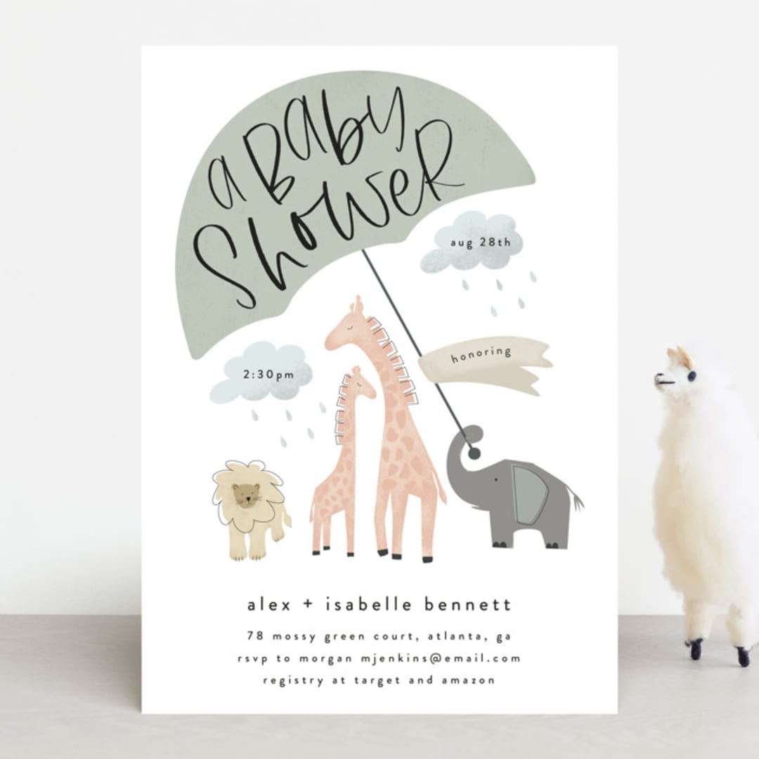 Baby Safari