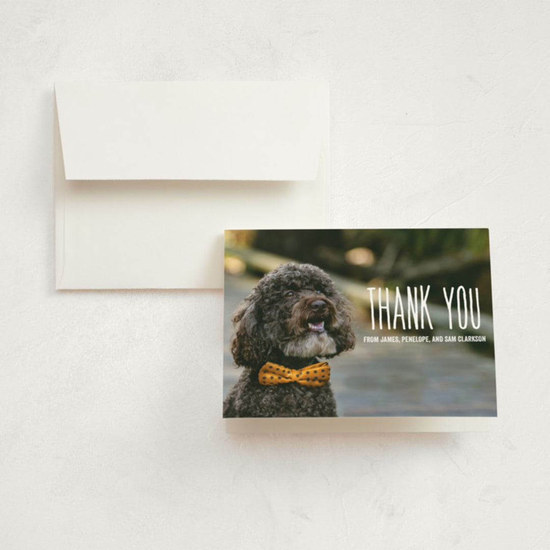"From your furry first-born" - Birth Announcement Thank You Cards in Lily by Lea Delaveris - Front