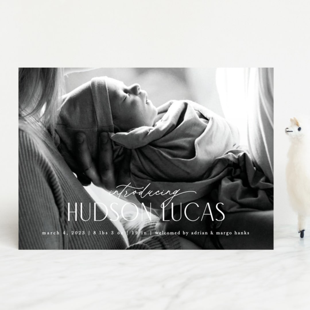 "Little Introduction" - Birth Announcements in Sugar by Pixel and Hank - Front