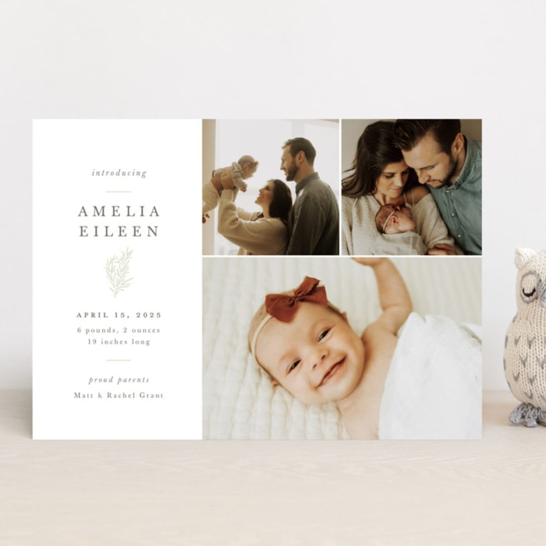 "Tiny Sprig" - Birth Announcements in Sage by Sarah Brown - Front