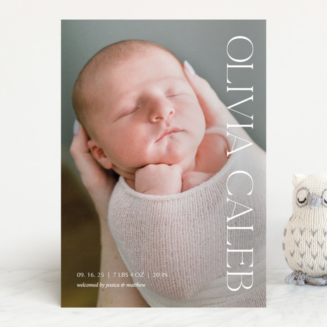 "Newest addition" - Birth Announcements in Snow by Elan Studio - Front
