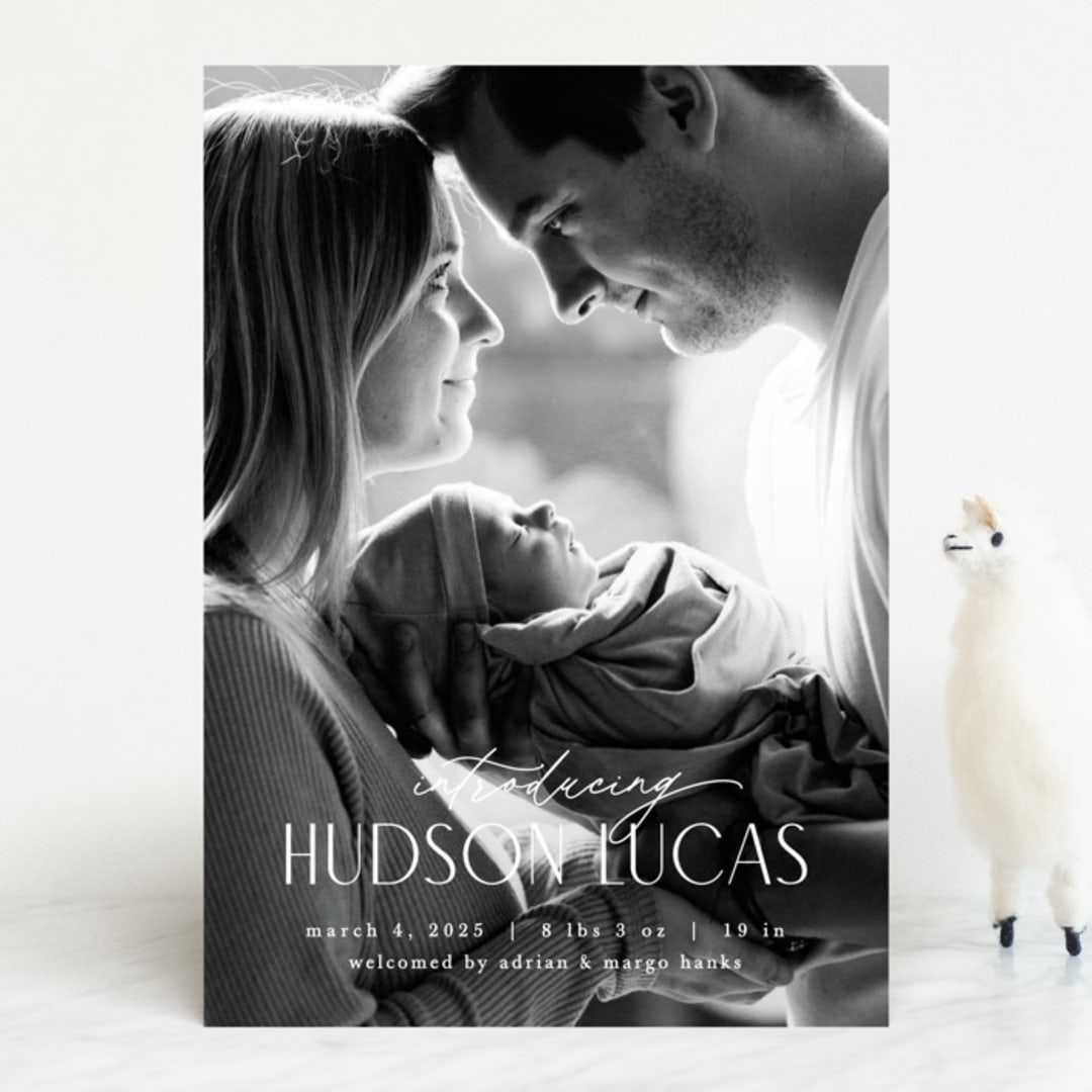 "Little Introduction" - Birth Announcements in Stone by Pixel and Hank - Front