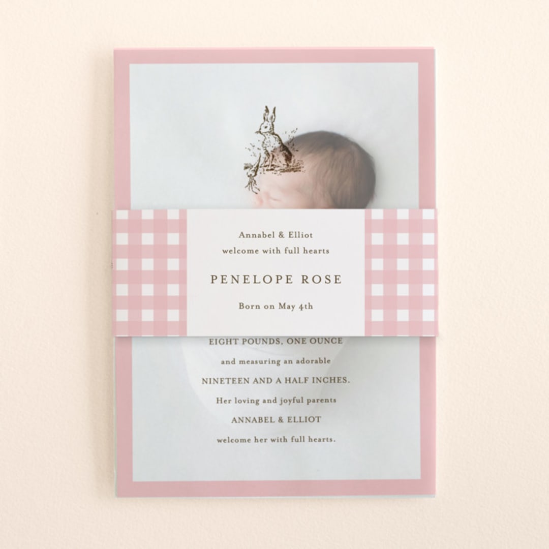 "Classic Bunny" - Birth Announcement Belly Bands in Blush by Megan Davis - Front