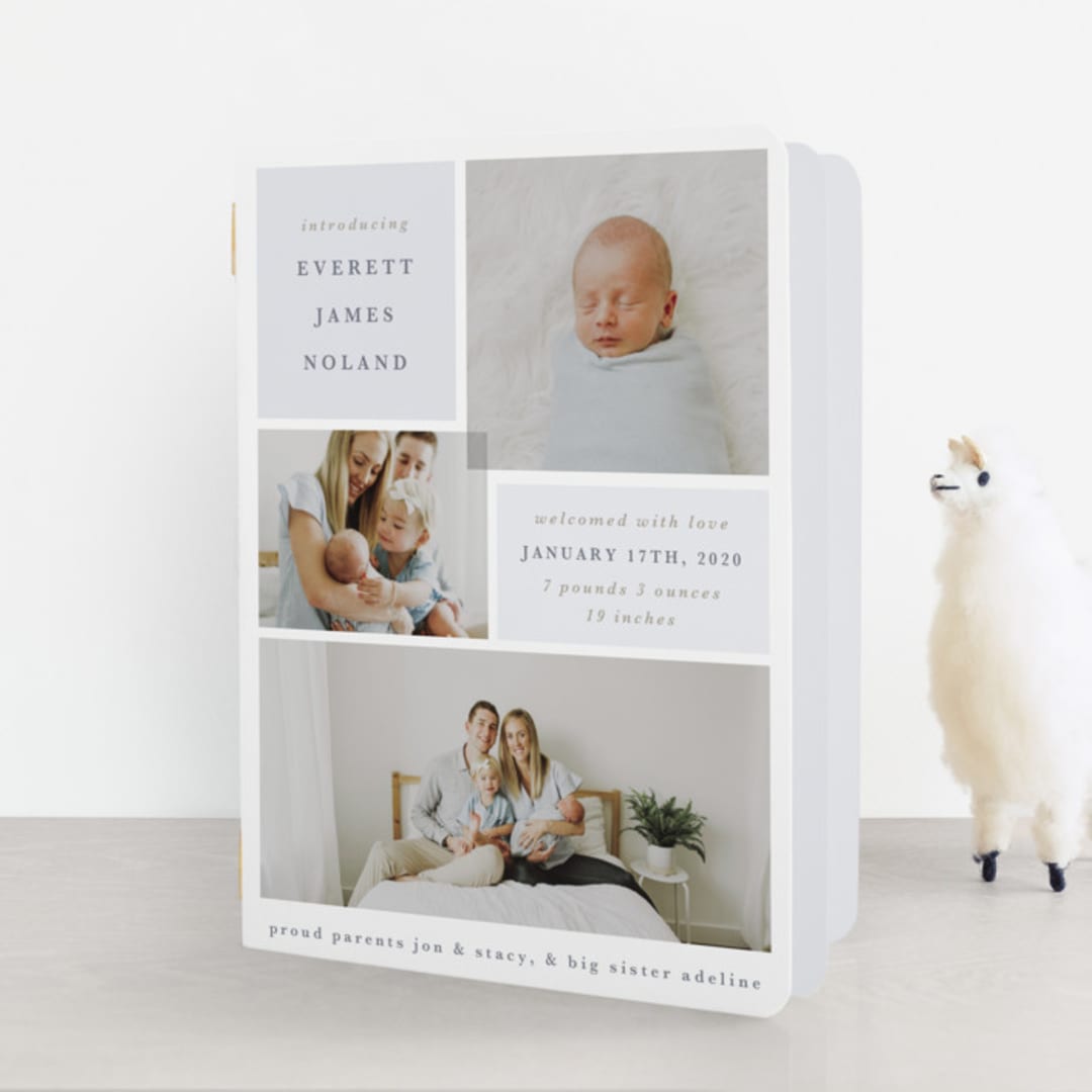 "Love Multiplies" - Birth Announcement Booklette™ Cards in Dusty Blue by Julie Murray - Front