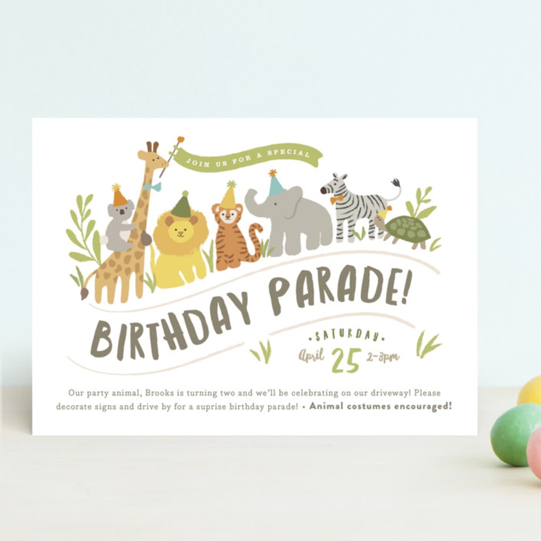 Animals on parade