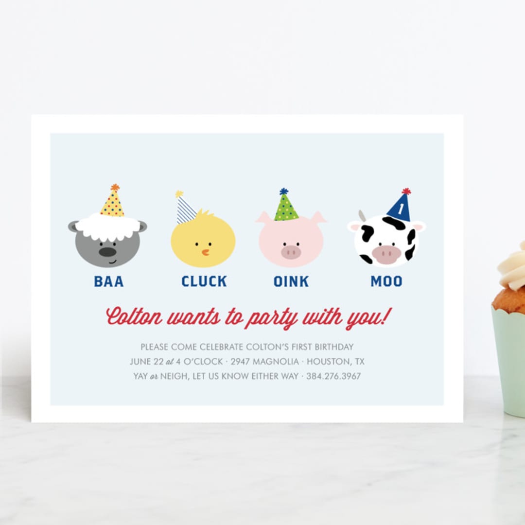 "Barnyard Crew" - Children's Birthday Party Invitations in Sky Blue by Leslie Ann Jones - Front
