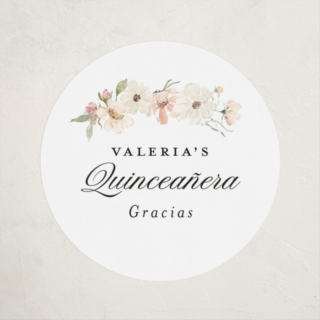 "Aura Botánica" - Children's Birthday Party Stickers in Blush by Itsy Belle Studio - Front