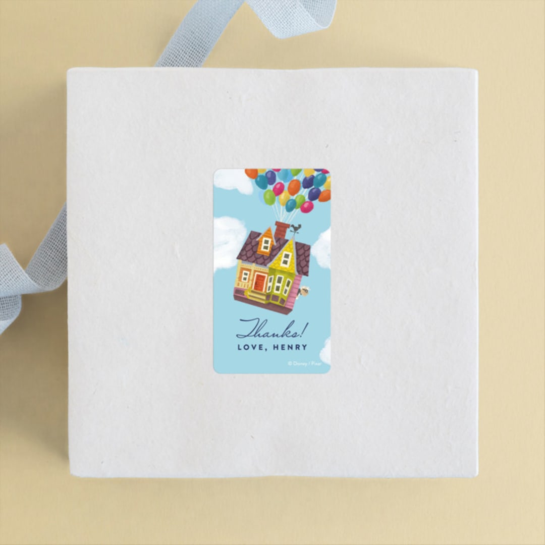 "Disney and Pixar's Adventure is Out There!" - Children's Birthday Party Stickers in Sky by Brooke Chandler - Front