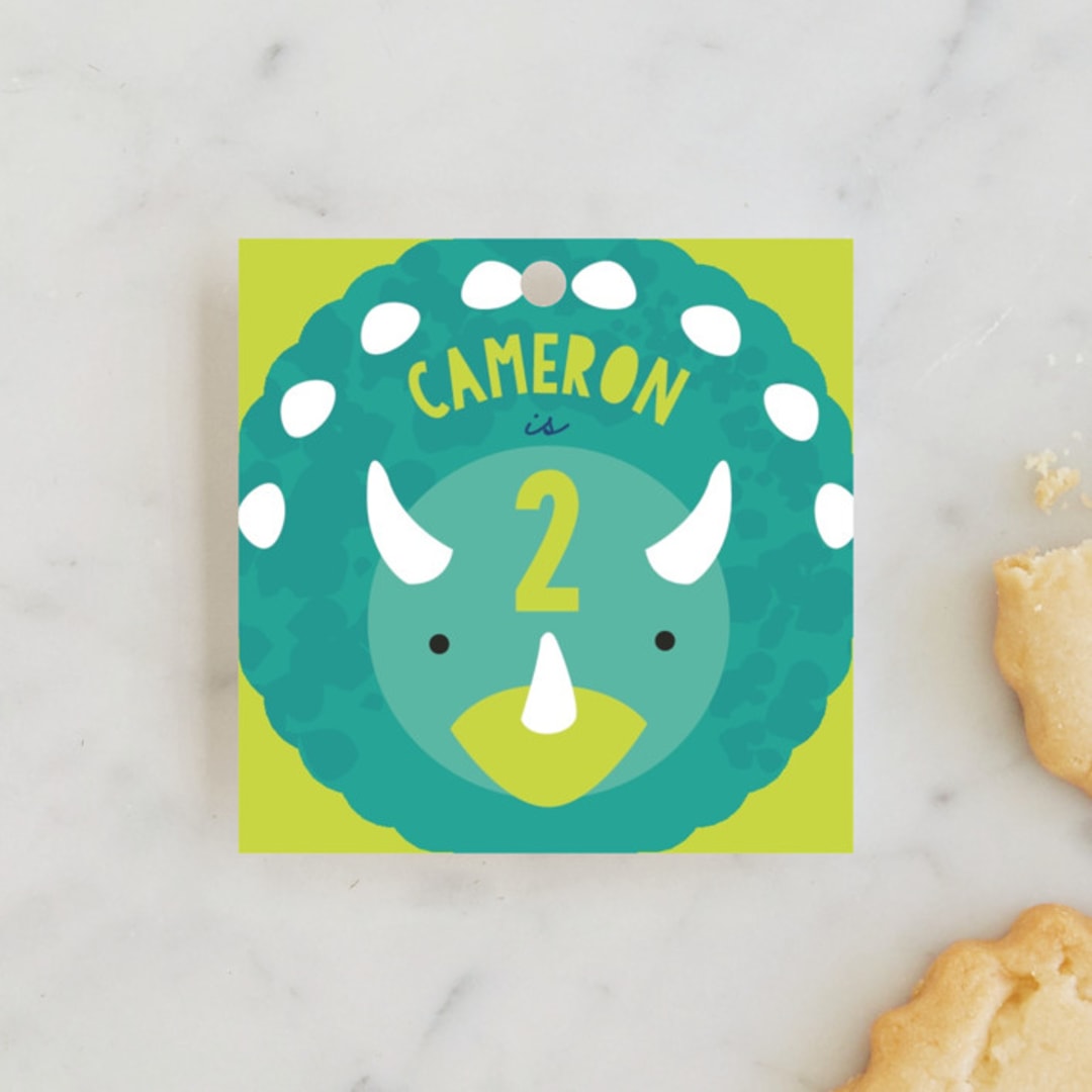 "Tri Birthday" - Children's Birthday Party Favor Tags in Teal by Itsy Belle Studio - Front