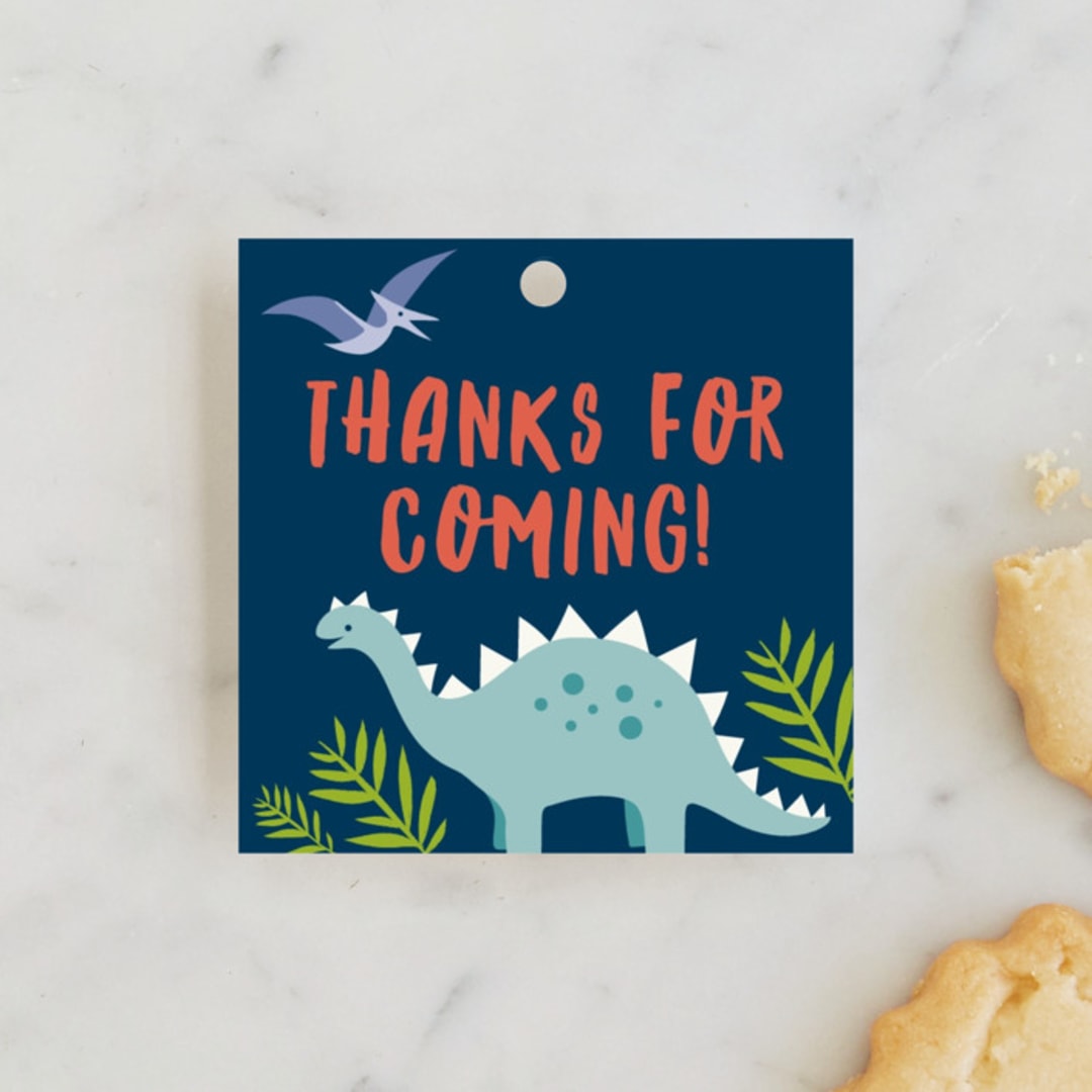 "volcano blast" - Children's Birthday Party Favor Tags in Atlantic by Karidy Walker - Front