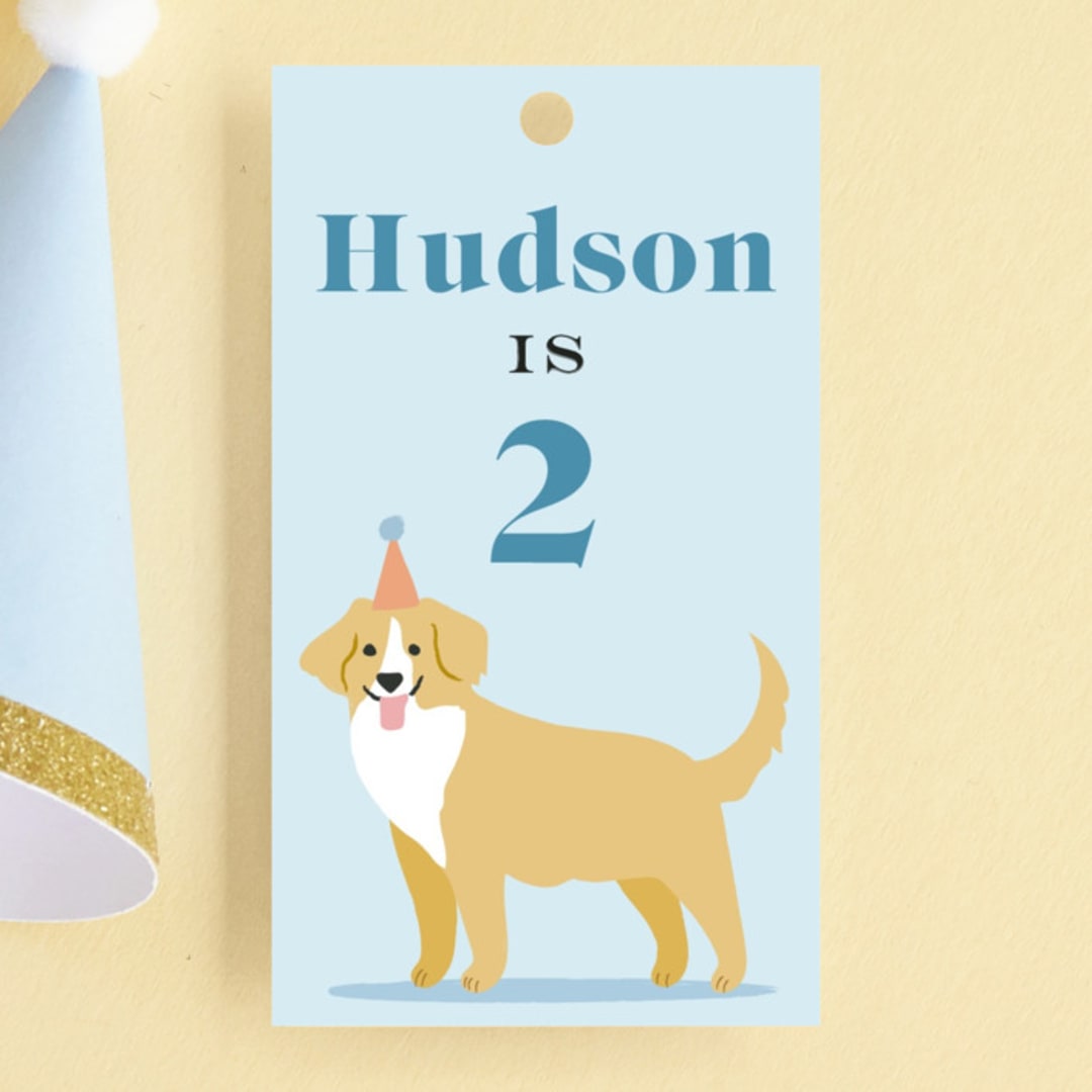 "pawty time" - Children's Birthday Party Favor Tags in Sky by Karidy Walker - Front