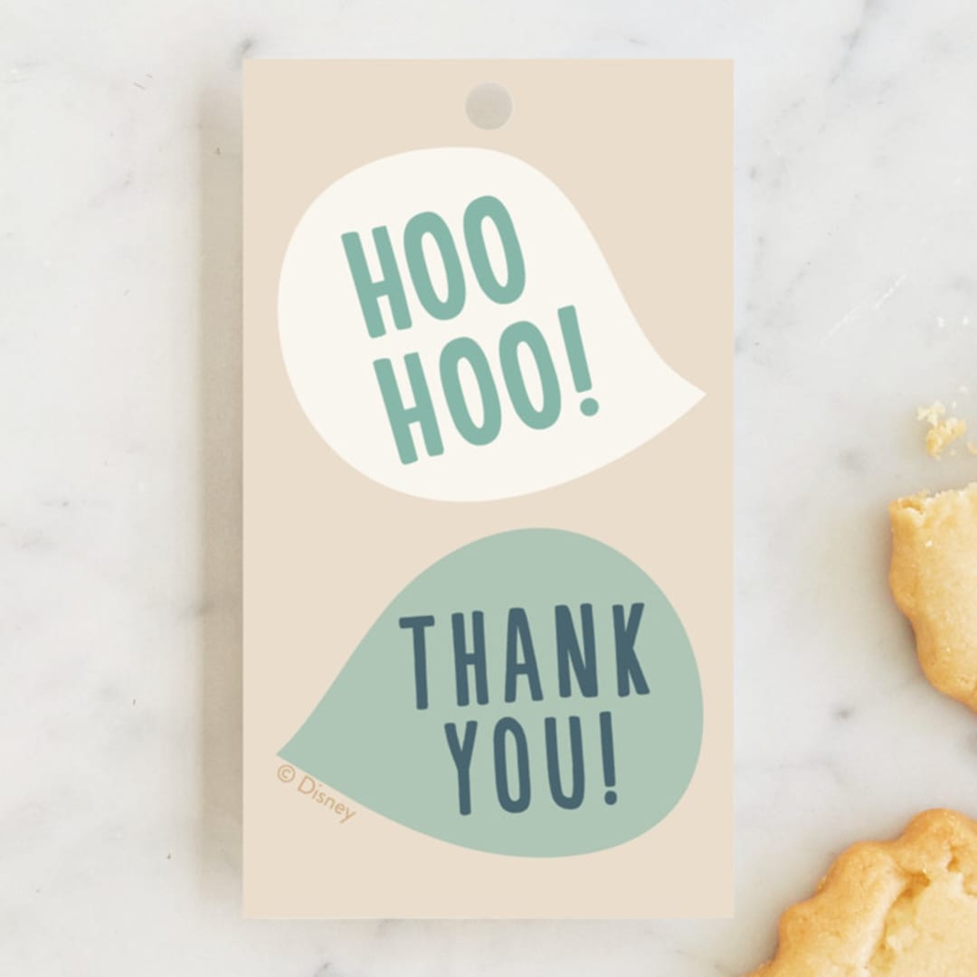 "Disney's Frozen Big Birthday Blowout" - Children's Birthday Party Favor Tags in Birch by Erica Krystek - Front