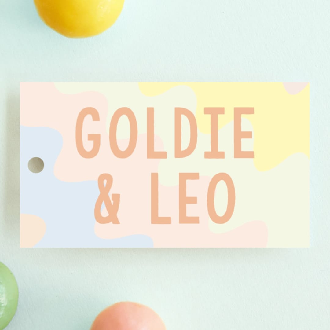 "Bday Twins" - Children's Birthday Party Favor Tags in Creamsicle by Baumbirdy - Front