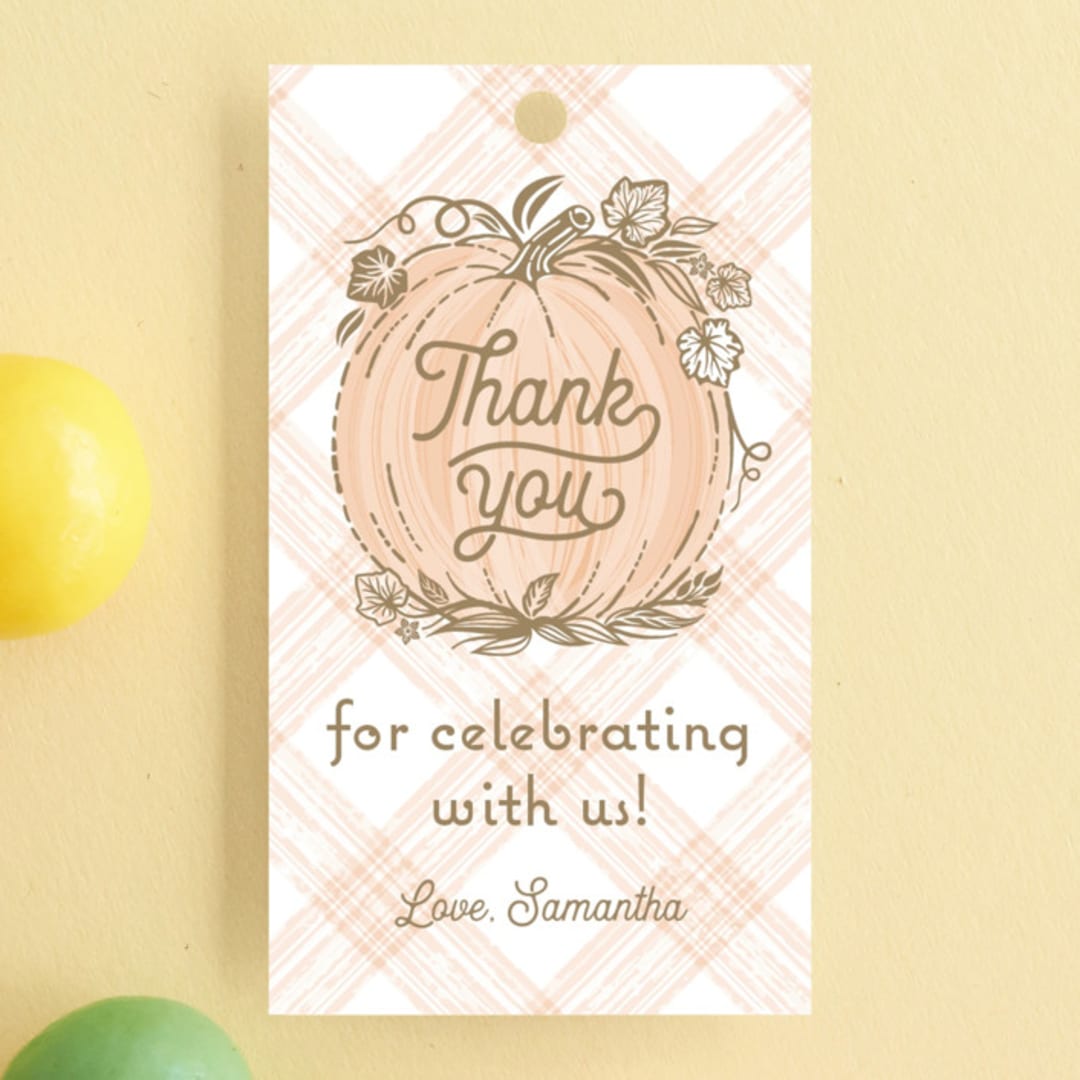 "Little Pumpkin" - Children's Birthday Party Favor Tags in Peach by Paper Sun Studio - Front