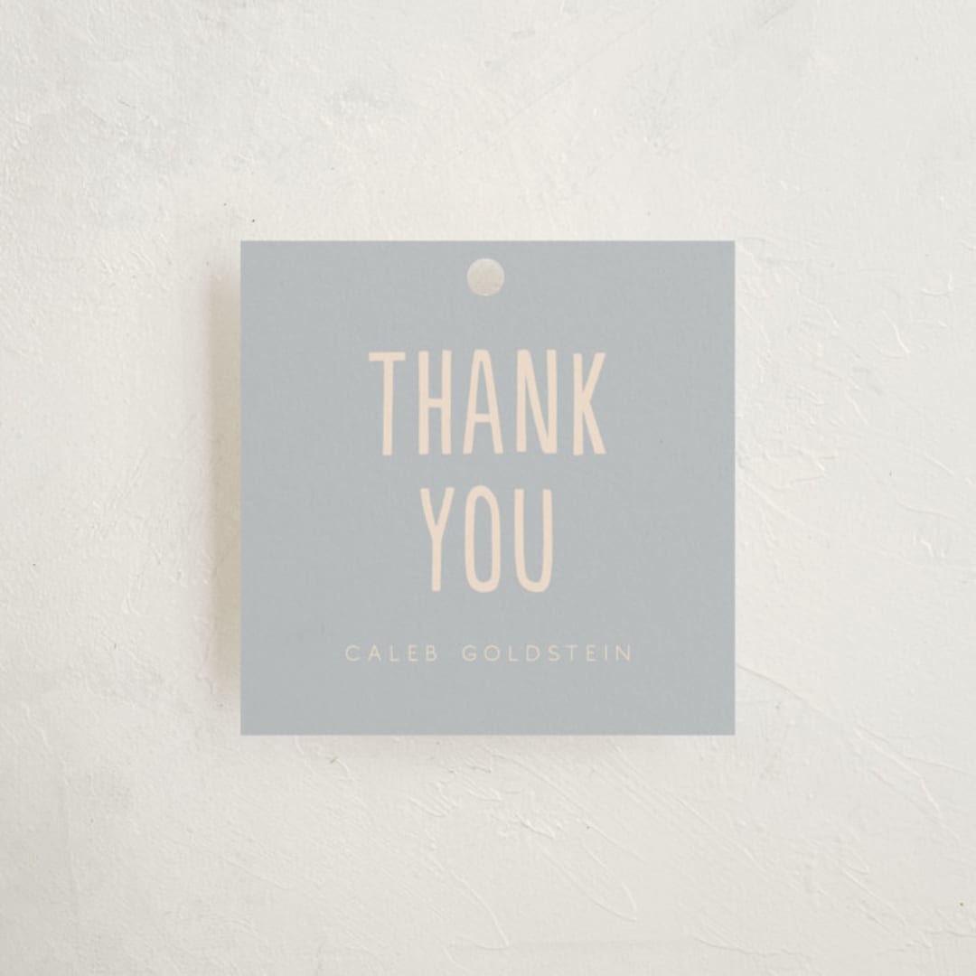 "the sign" - Children's Birthday Party Favor Tags in Sky by Vera Lim - Front