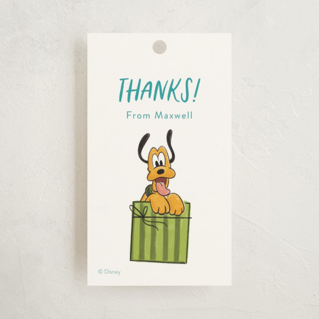 "A Goofy Birthday" - Children's Birthday Party Favor Tags in Teal by JeAnna Casper - Front