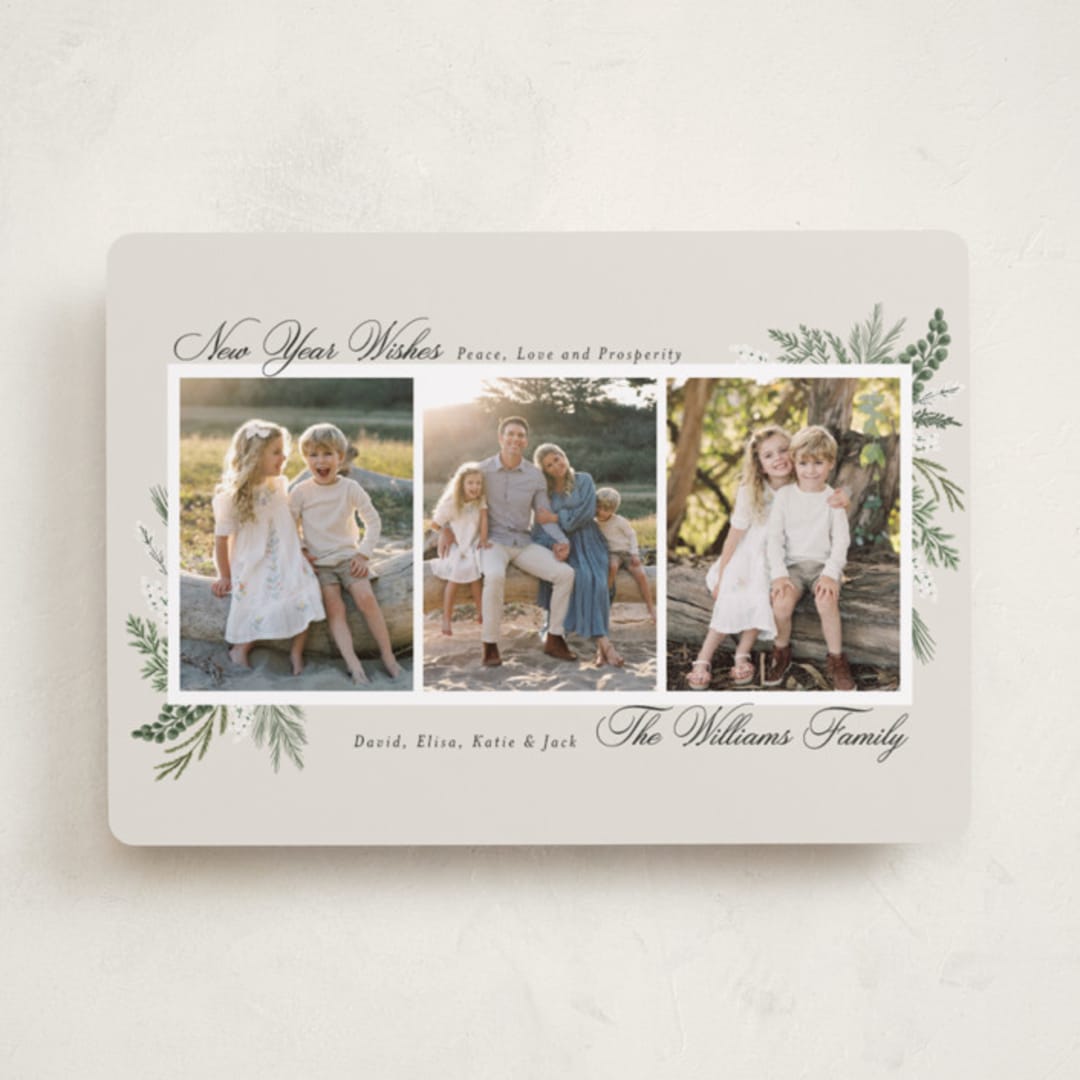 "Warmest Wish" - Holiday Cards in Frost by Susan Moyal - Front