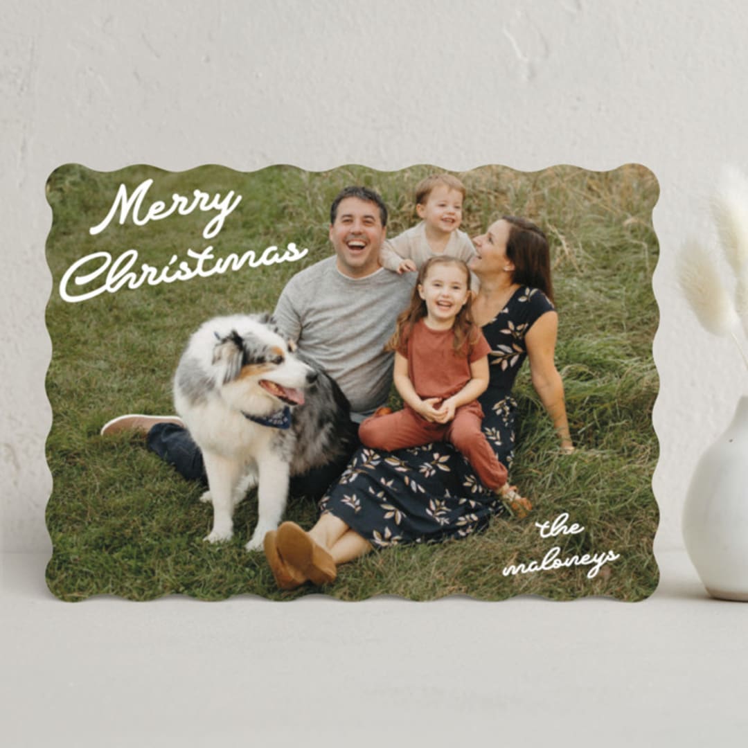 "Squiggles" - Holiday Cards in Snow by Tennie and Co. - Front