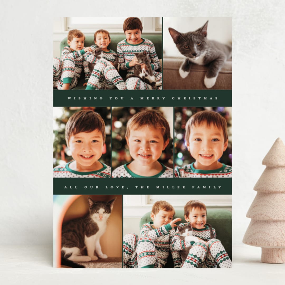 "Classy Collage" - Holiday Cards in Pine Bough by Ekko Studio - Front