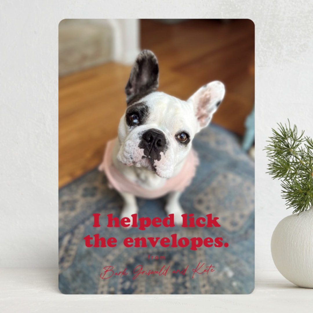 "Helping" - Holiday Cards in Chewed Stocking by Hudson meet Rose - Front
