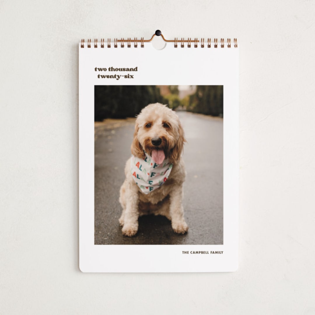 "Vinyl" - Calendars in Espresso by Megan Davis - Cover
