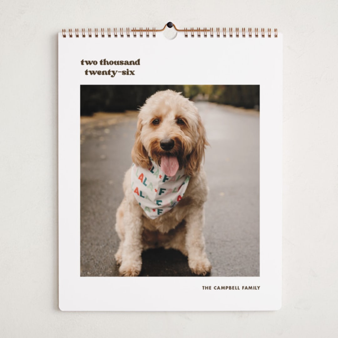 "Vinyl" - Calendars in Espresso by Megan Davis - Cover