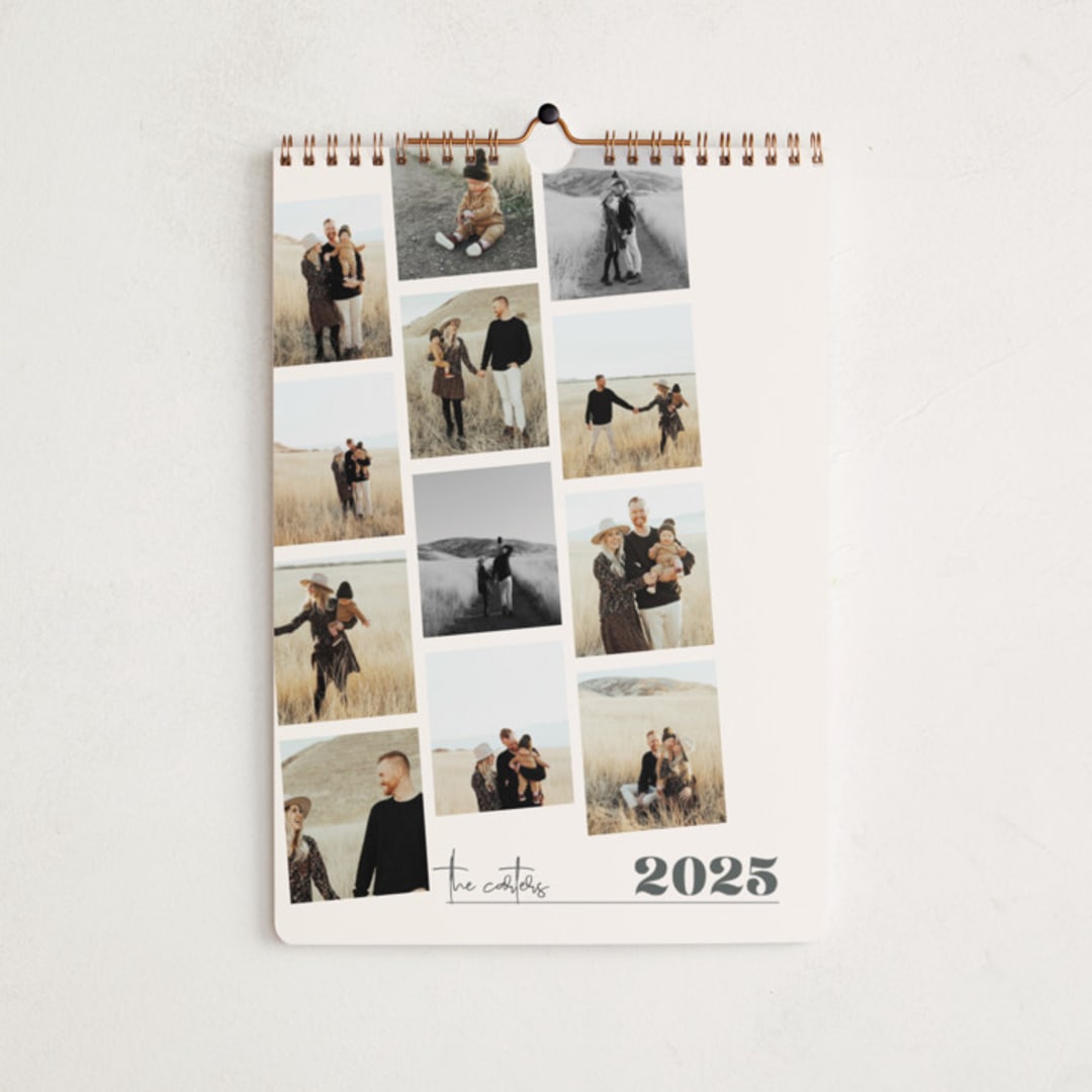 "Proof" - Calendars in Champagne by Robin Ott - Cover