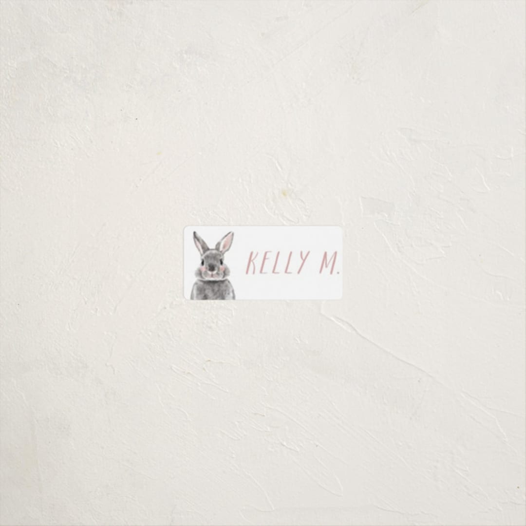"Baby Animal Rabbit" - Custom Name Labels in Blush by Cass Loh - Front