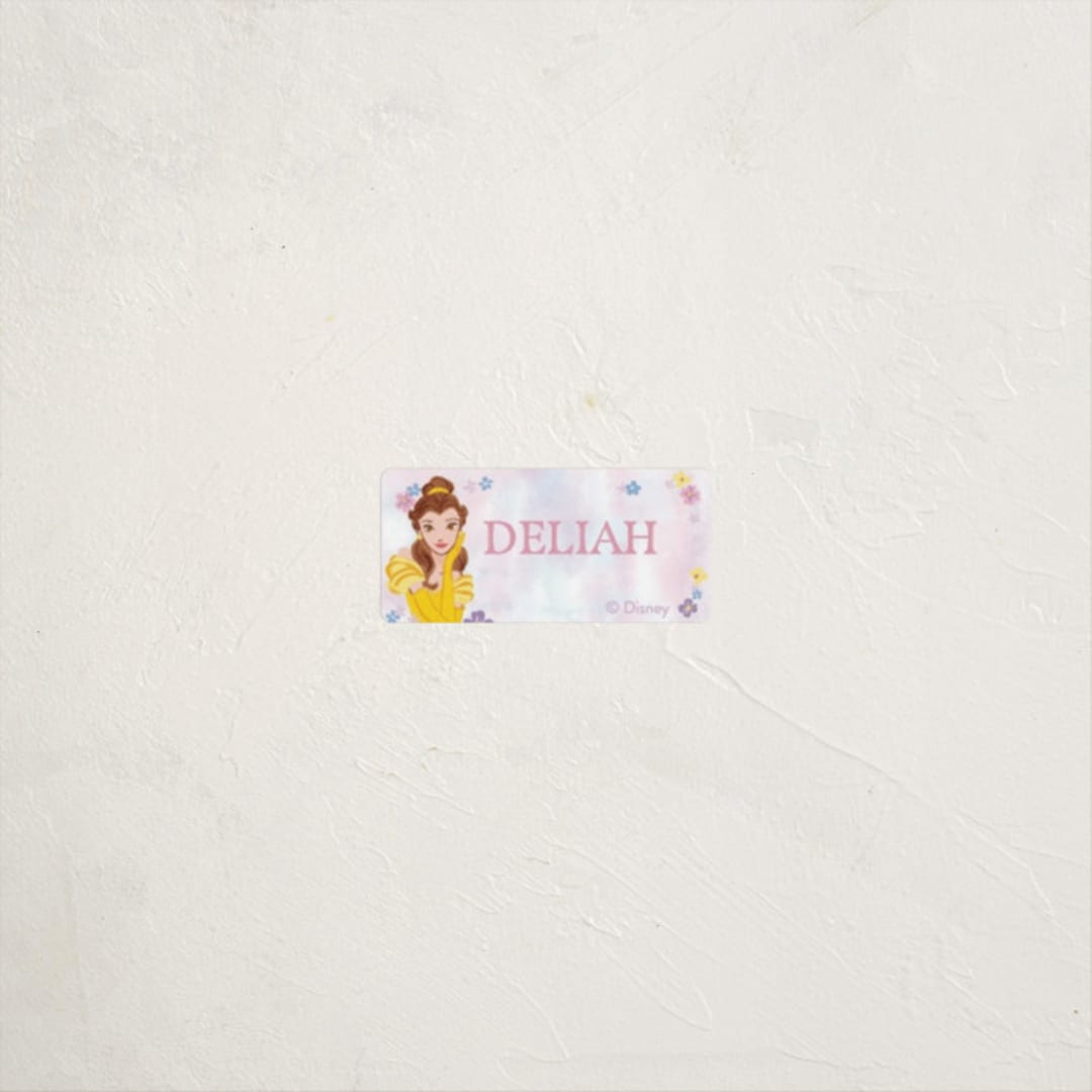 "Disney's Princess Portrait" - Custom Name Labels in Cotton Candy by Cass Loh - Front