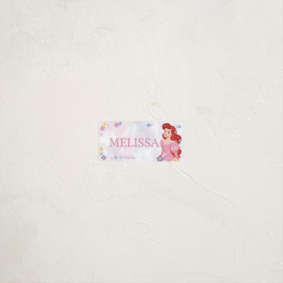 "Disney's Princess Portrait" - Custom Name Labels in Cotton Candy by Cass Loh - Front