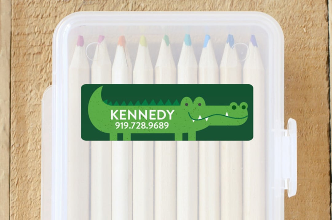 Alligator