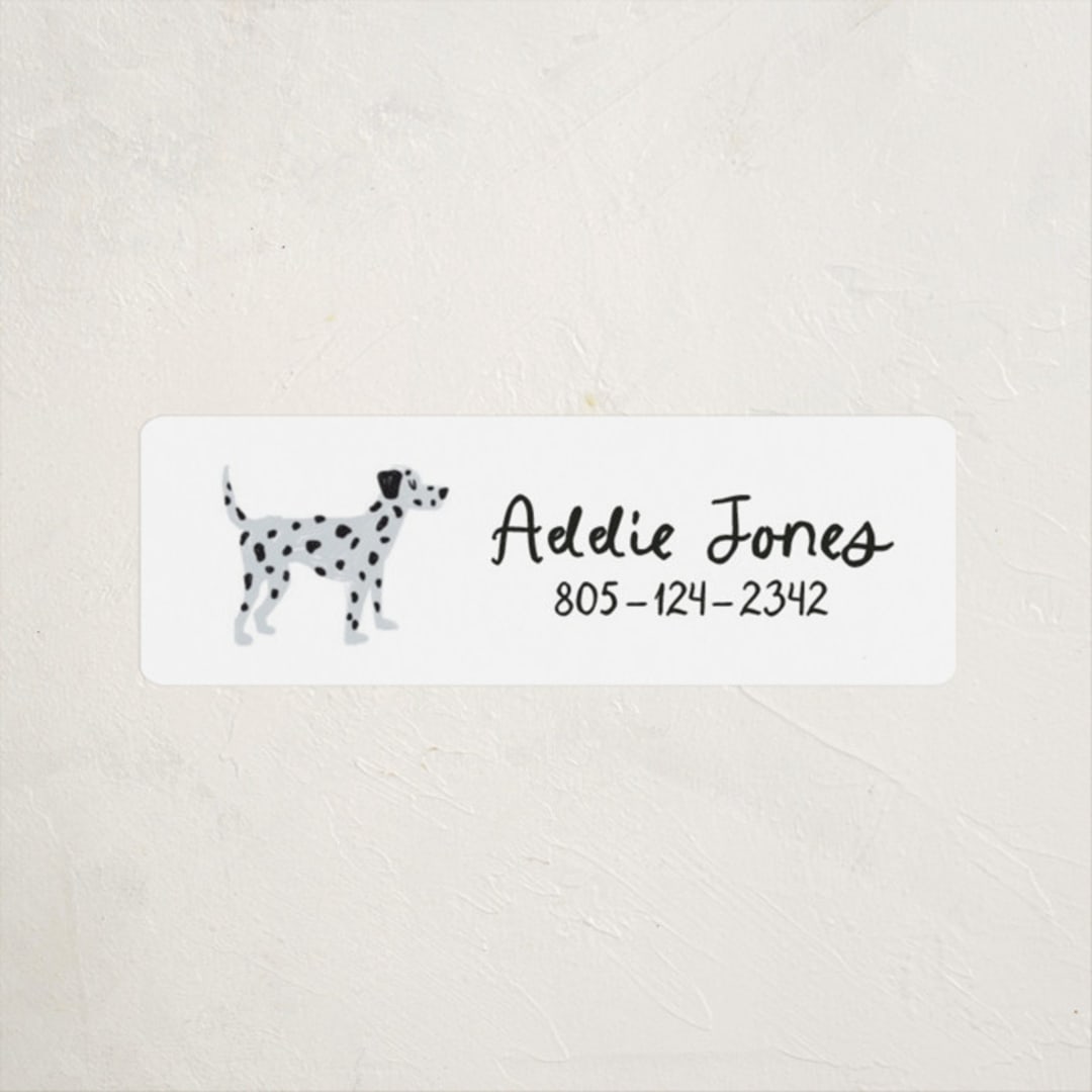 "Dalmation Pup" - Custom Name Labels in Tire by Laura Bercovich - Front