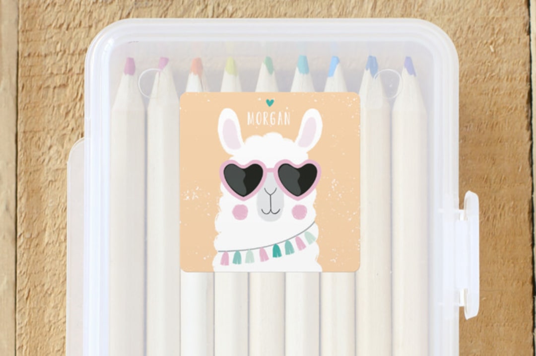 Fun Llama