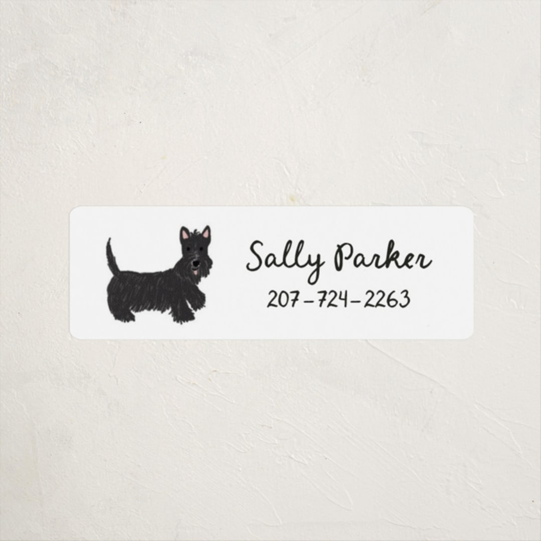 "Terrier Pup" - Custom Name Labels in Tire by Laura Bercovich - Front