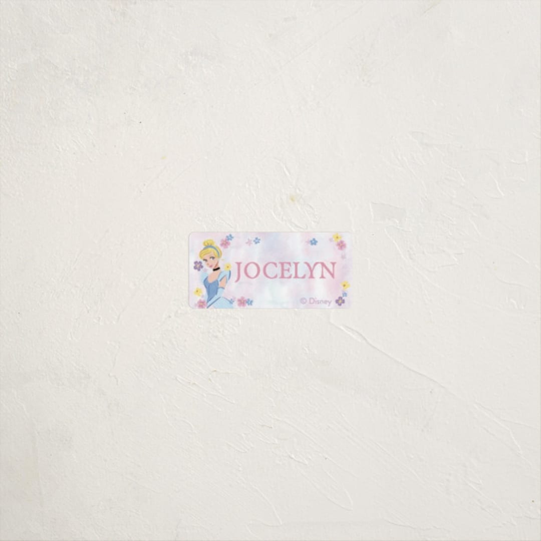 "Disney's Princess Portrait" - Custom Name Labels in Cotton Candy by Cass Loh - Front
