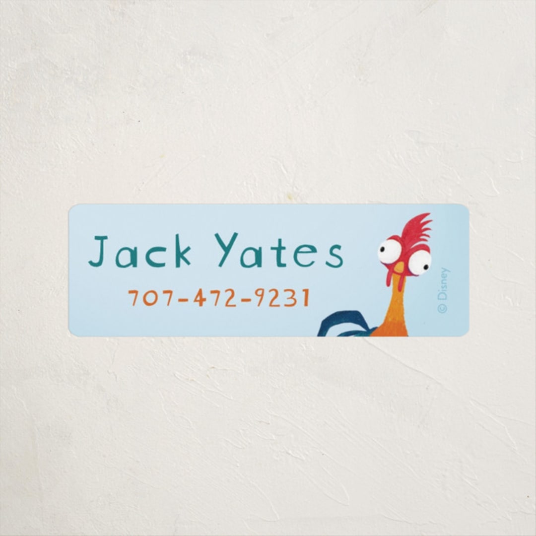 "Disney's Moana Hei Hei!" - Custom Name Labels in Ocean by Kristen Knechtel - Front