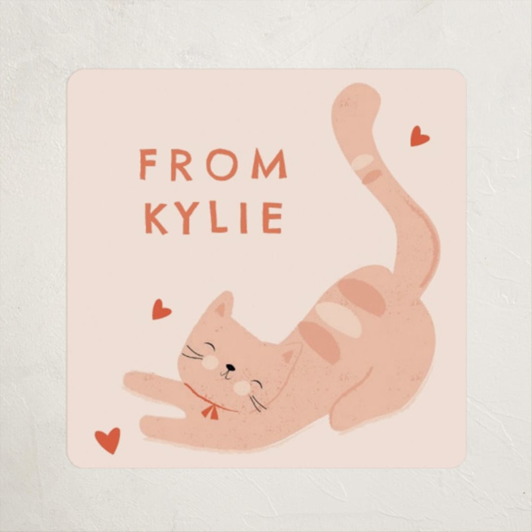 "Cats Meow" - Custom Stickers in Apricot by Angela Thompson - Front
