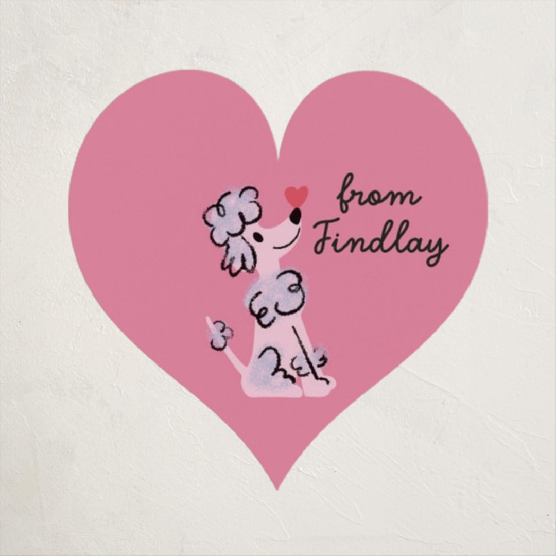 "Oodles of Poodles" - Custom Stickers in Pinky by mo kelley - Front
