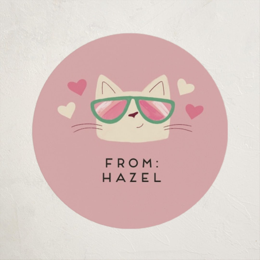 "You're a Cool Cat Valentine" - Custom Stickers in Peony by Kate Vories - Front